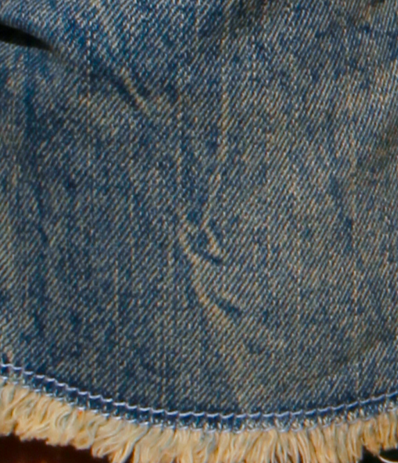 Cutoff Denim Shorts