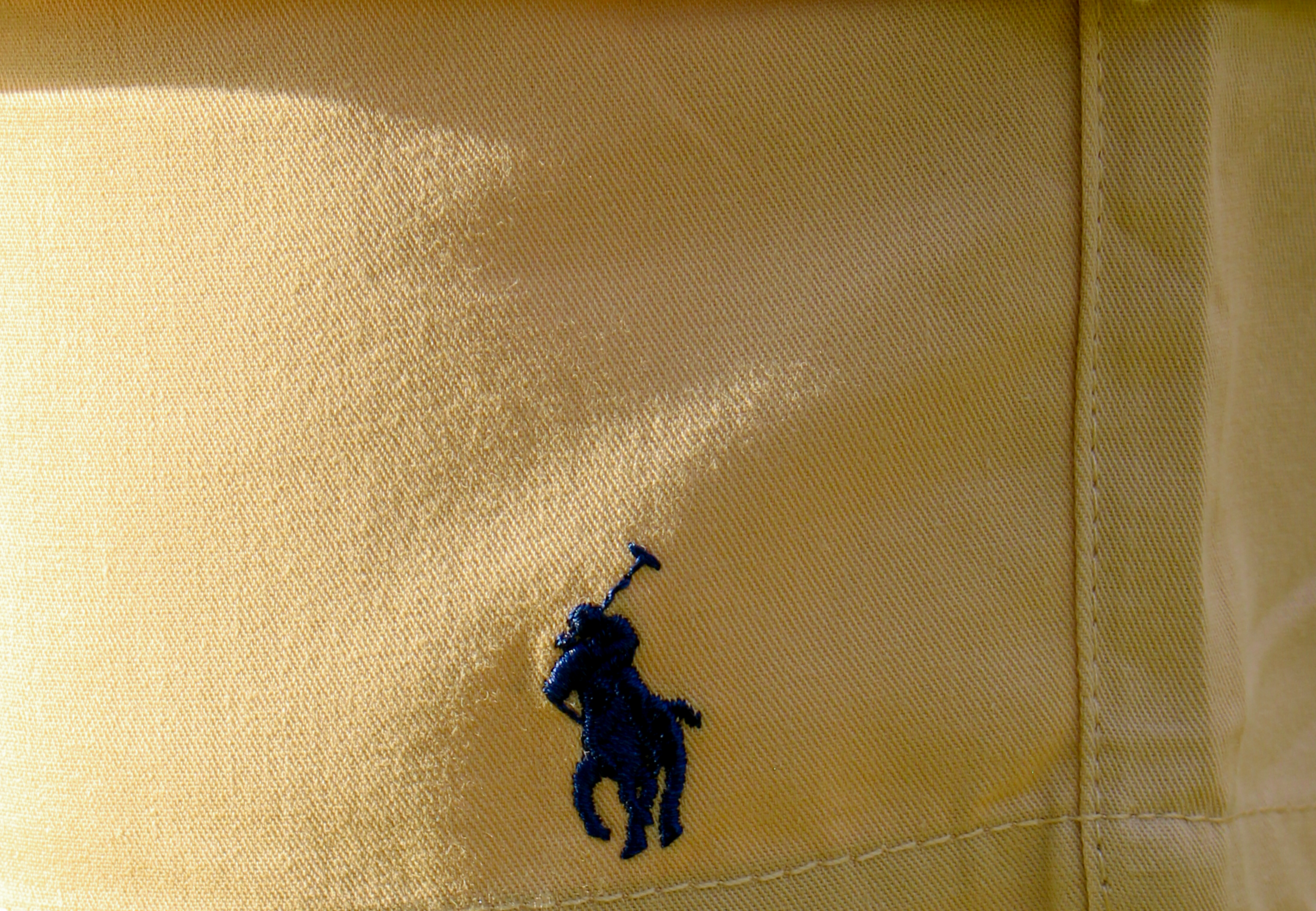 Chino Shorts